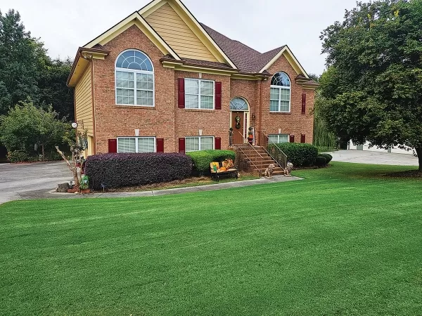 Weed Control & Lawn Treatments
