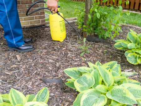 Pre-Emergent vs. Post-Emergent Weed Control: What Cartersville Lawns Need