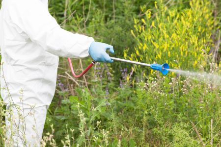 The Importance of Pre-Emergent Weed Control in Georgia Lawns