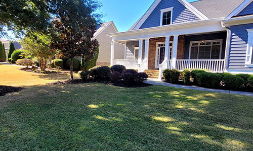 How to Maintain a Healthy Lawn During Georgia's Hot Summers