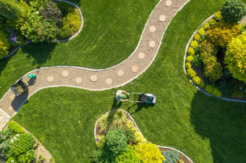 Why Professional Lawn Fertilization Gets Better Results Than DIY